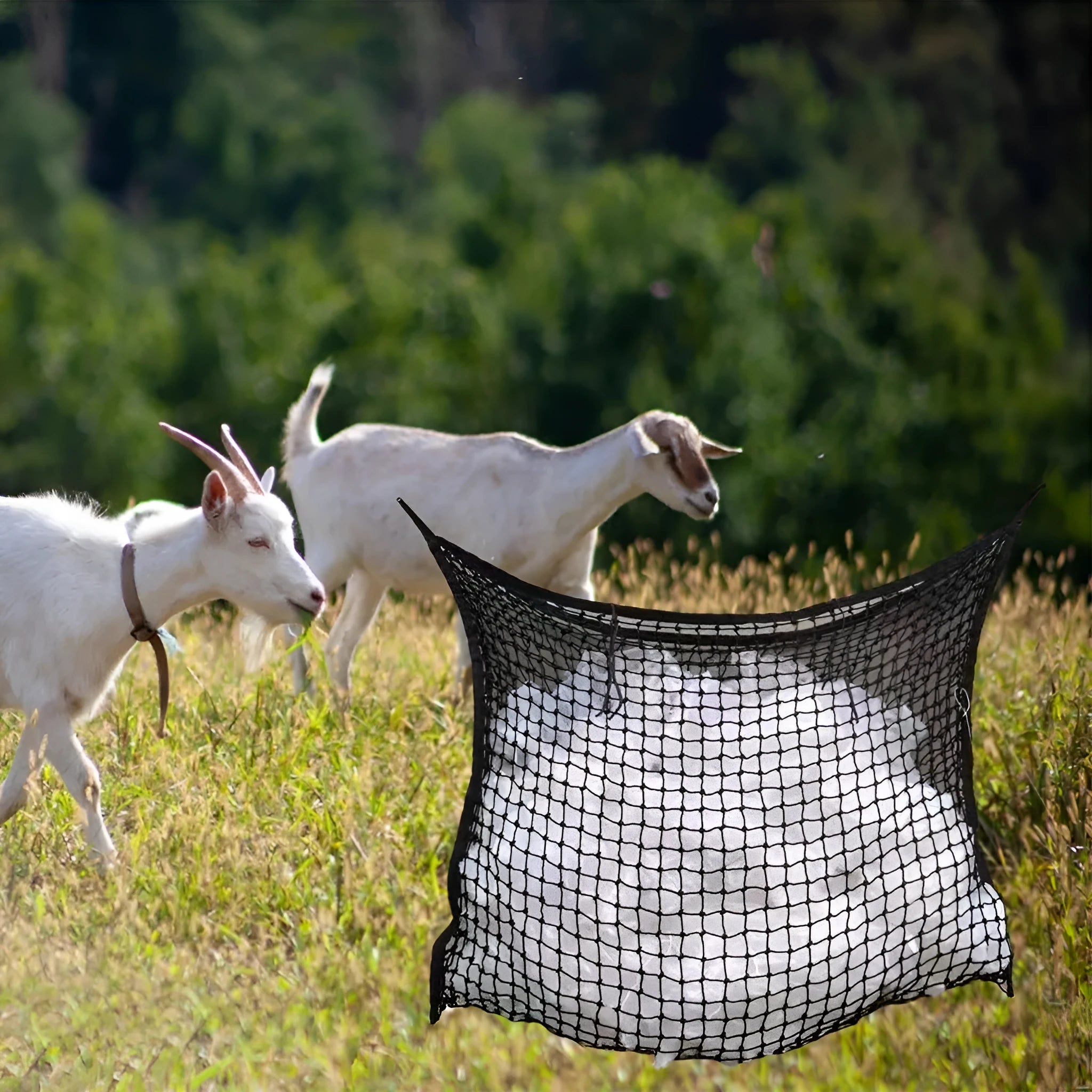 Woven PE rope horse feeding bag with grid pattern in black colour, shown hanging with hay