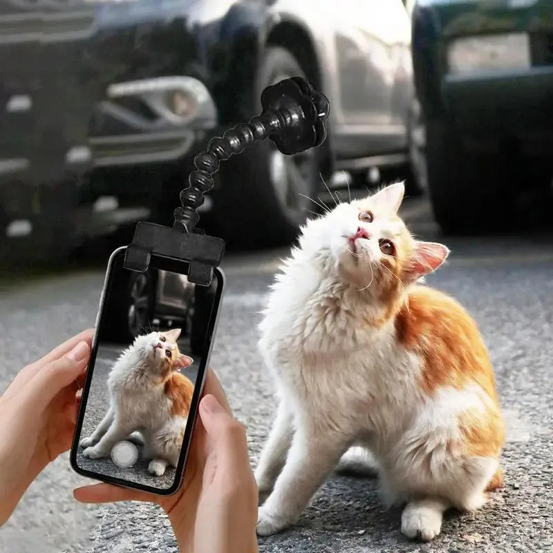 Pet photography tool with snack clip, 360-degree rotation, black plastic phone holder