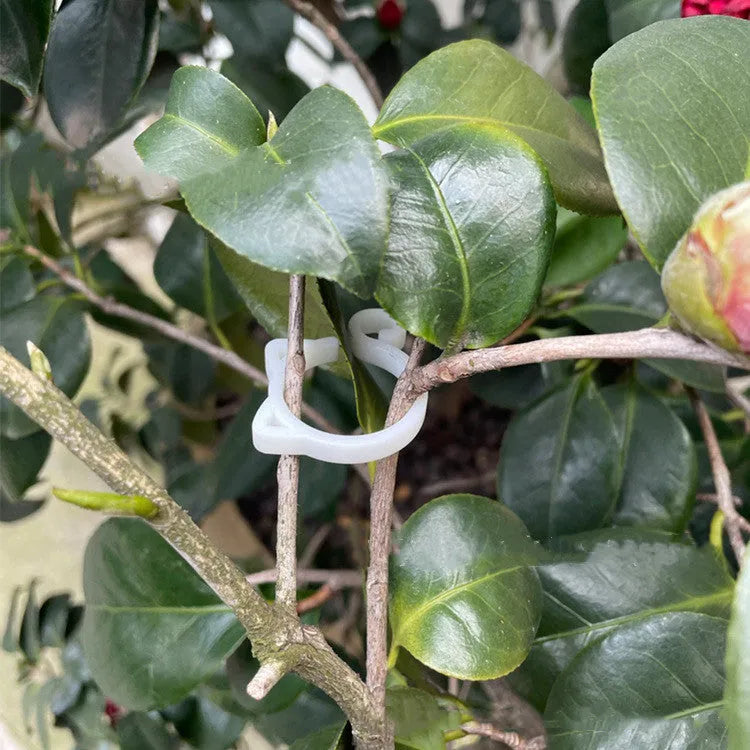 Small cat-shaped plastic plant clip in green, red, white, or yellow for securing vines in the garden.