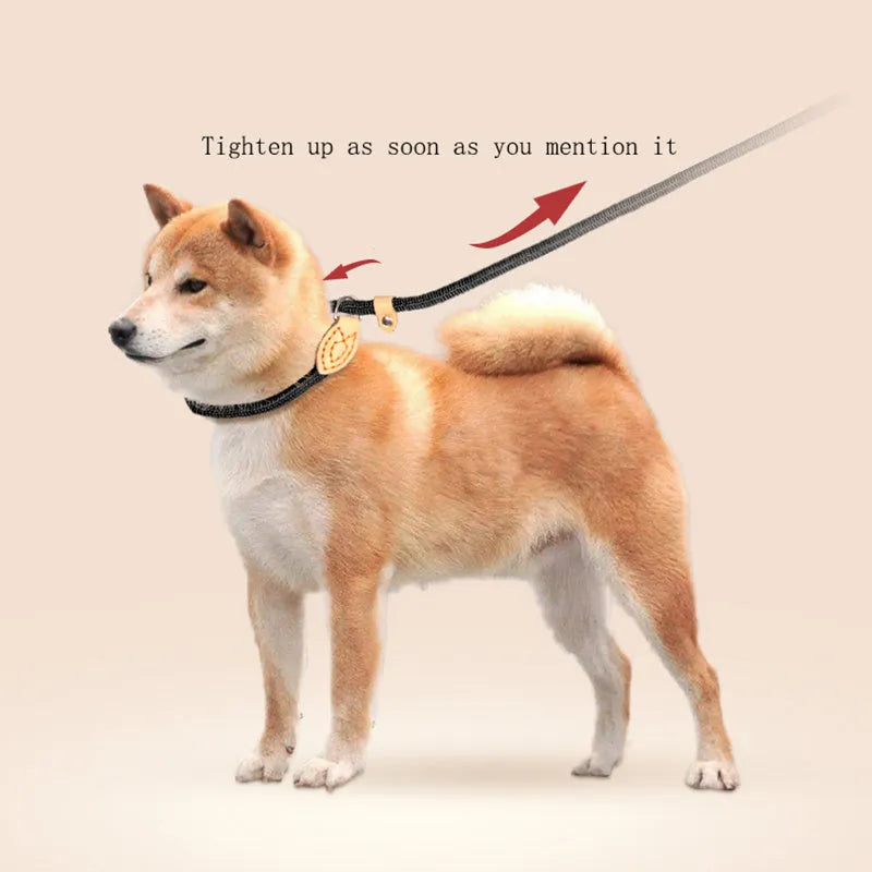 Blast race level training dog leash with black auto-tightening rope collar for secure control