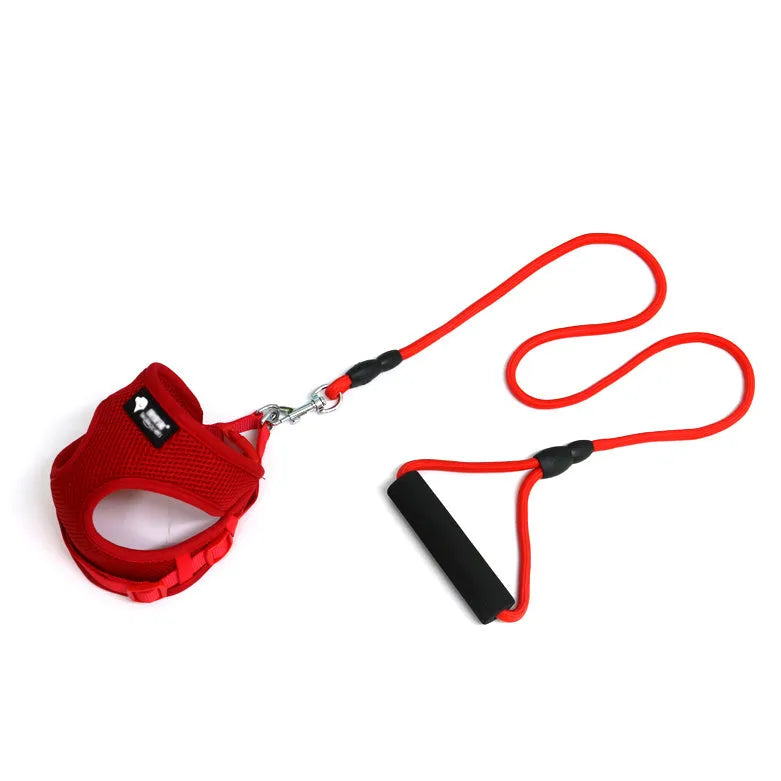 Blue nylon dog leash and collar set with a foam handle for small dogs.