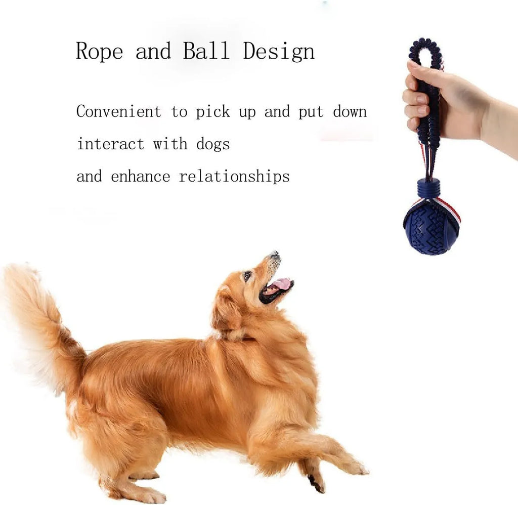Blue dog toy with a textured rubber ball attached to a rope, shown on a white background.
