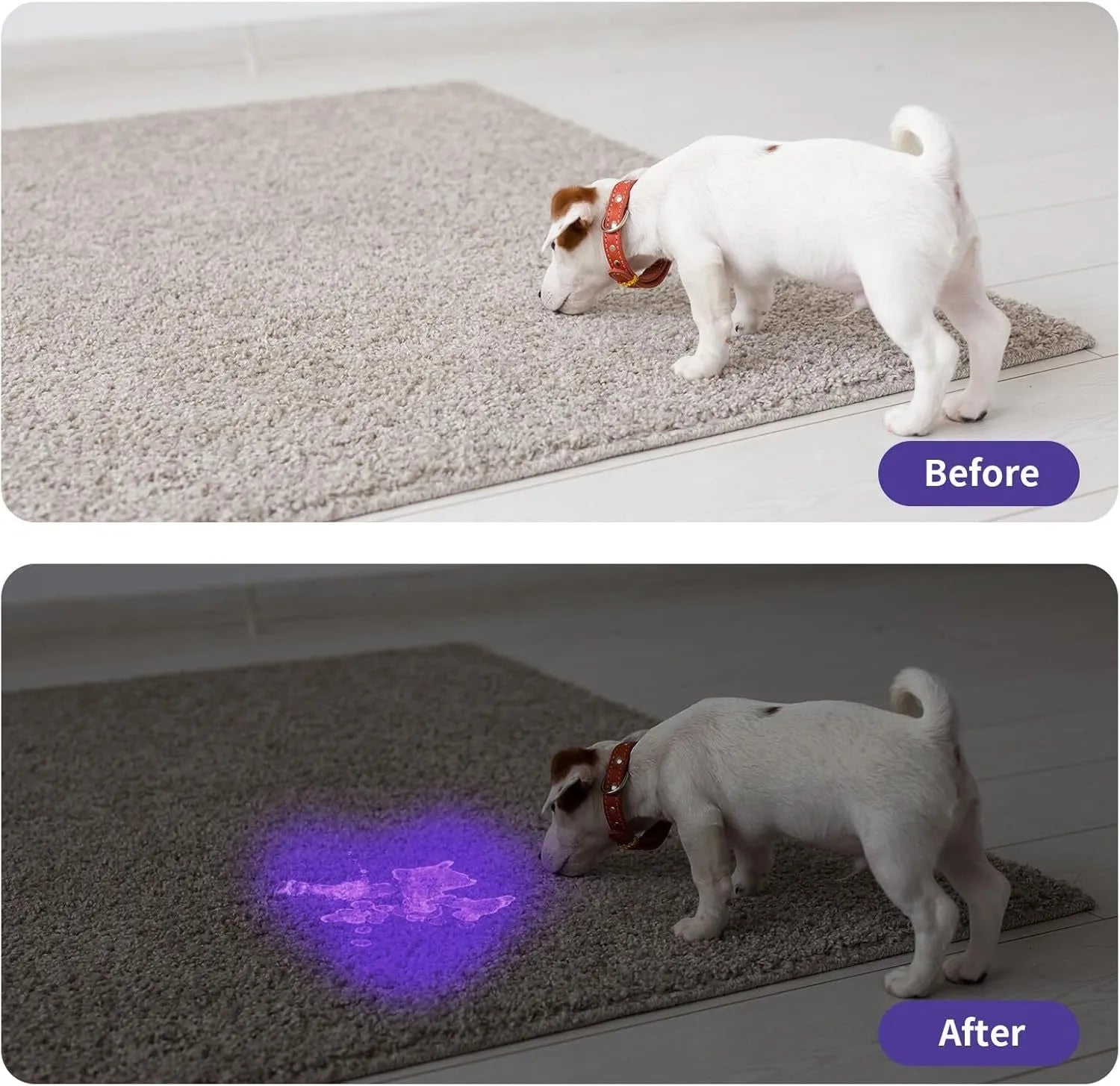 LED UV flashlight blacklight torch aluminium alloy 395-400nm for pet stain detection