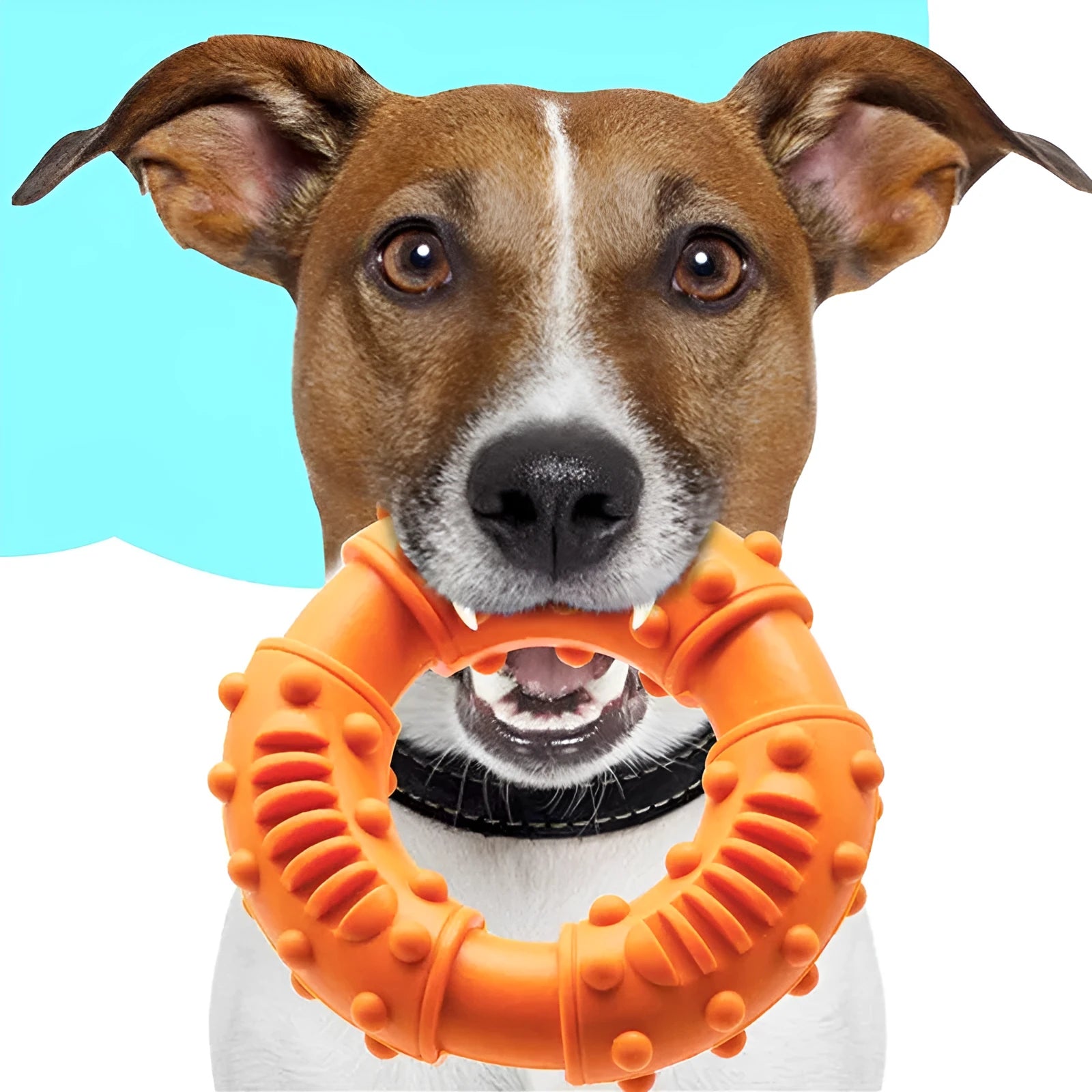 Blue hollow dog fetch stick toy, lightweight and chewy for play with puppies and large dogs