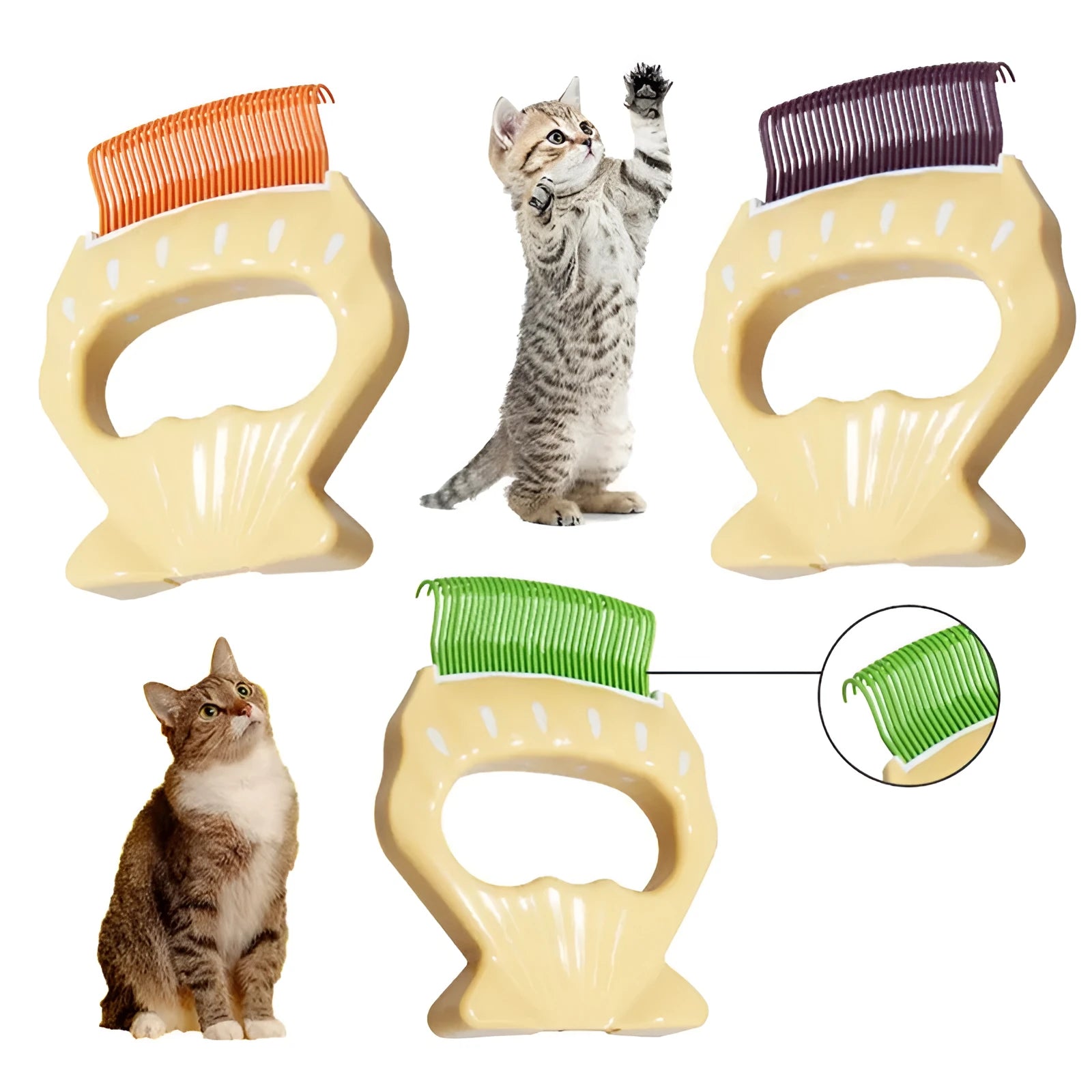 Shell shaped pet grooming brush in green, orange, or purple colours for dogs and cats