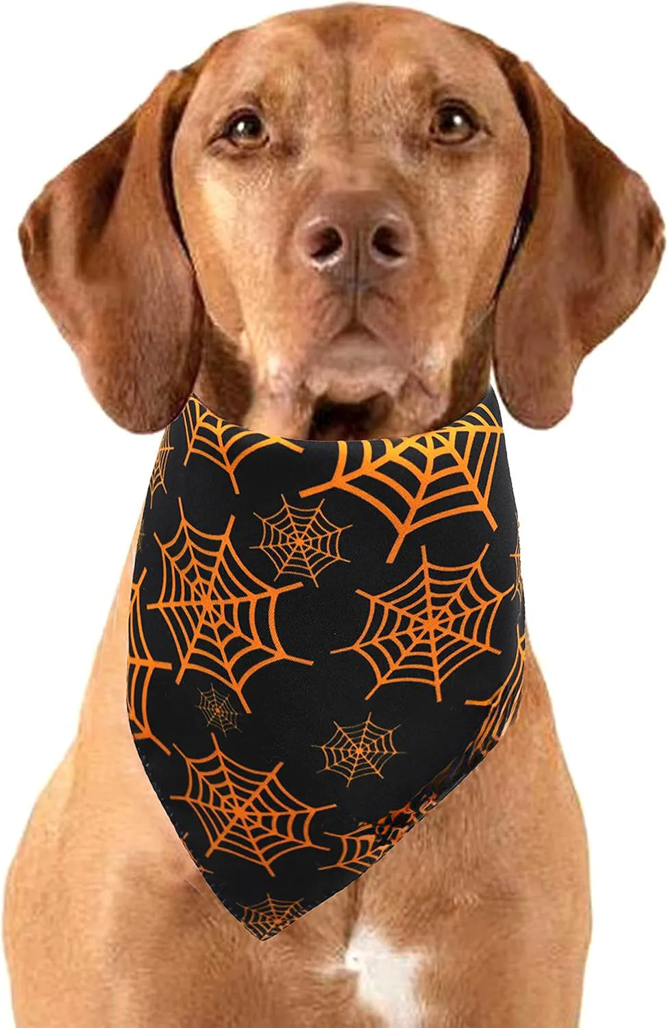 Reversible Halloween dog bandana with pumpkin and spider web patterns in black and orange, 65 x 45 x 45 cm