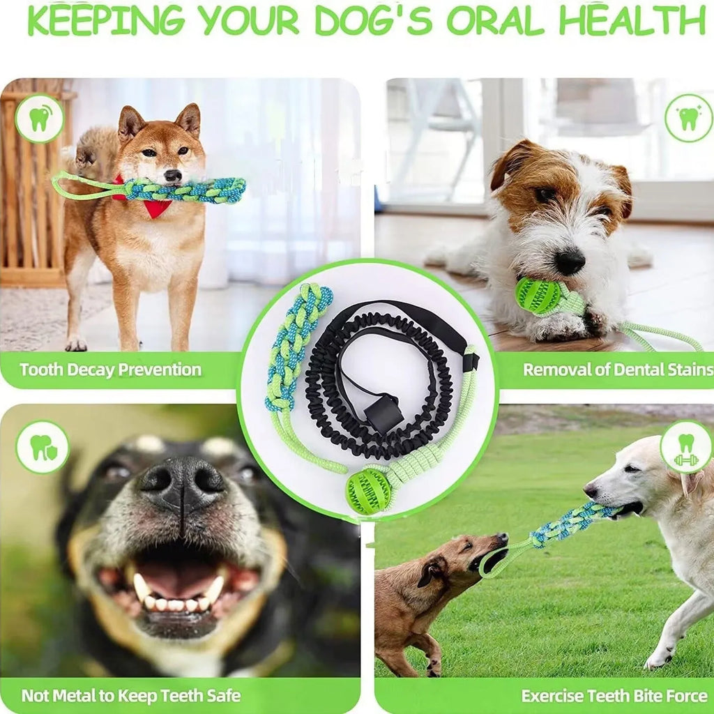 Green cotton dog tug rope toy with corncob design for chew and pull play