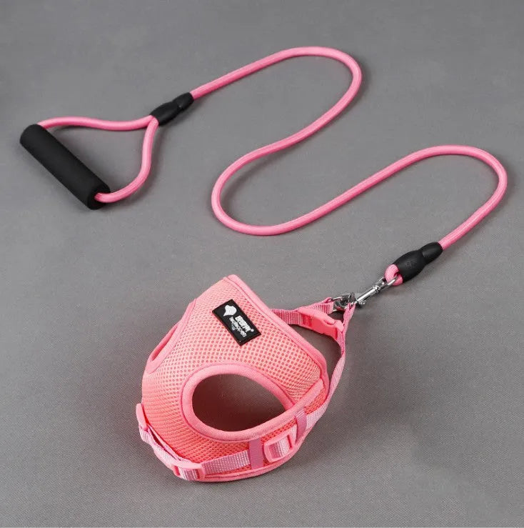 Blue nylon dog leash and collar set with a foam handle for small dogs.