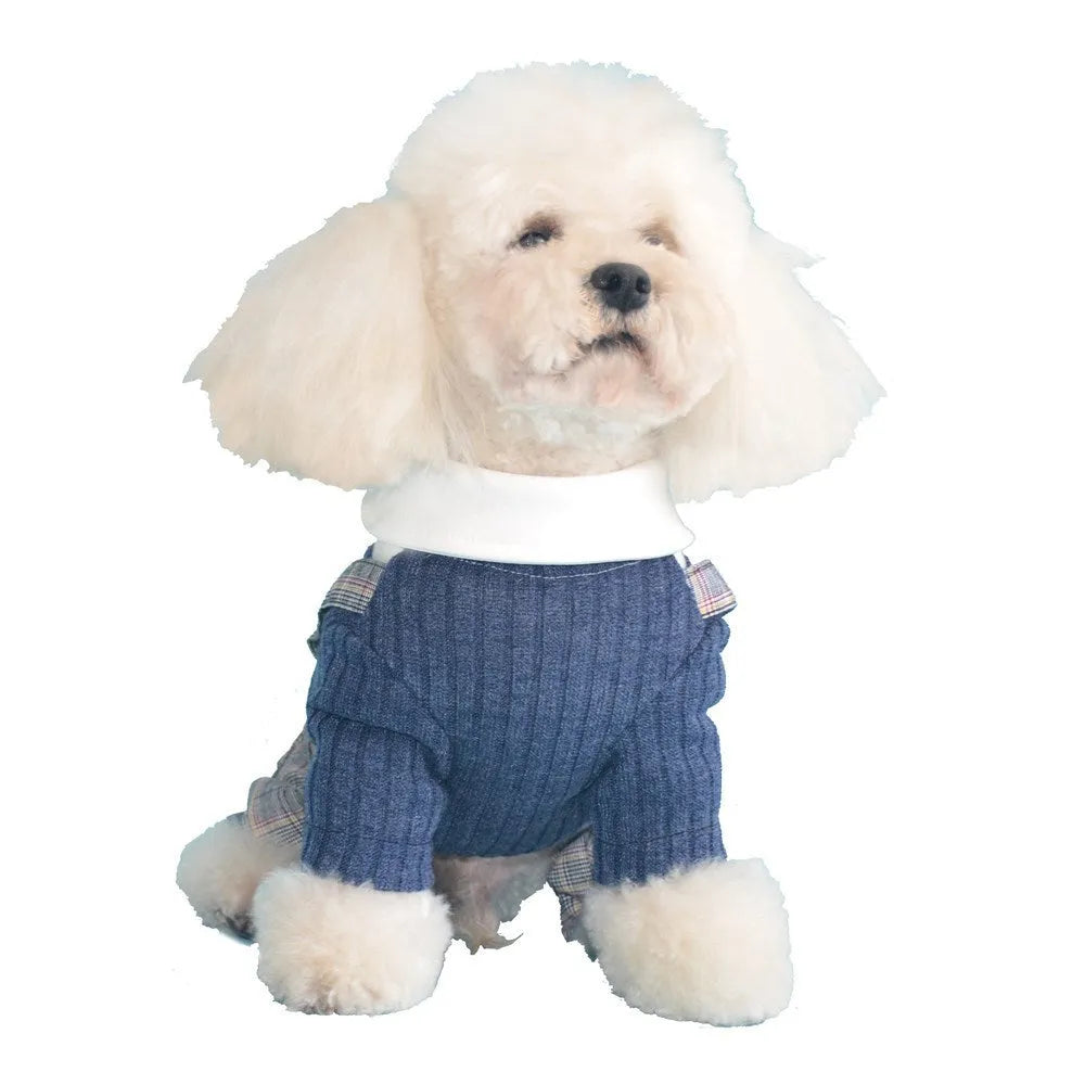 Orange and dark blue cotton dog shirt for small pets in sizes S to 2XL