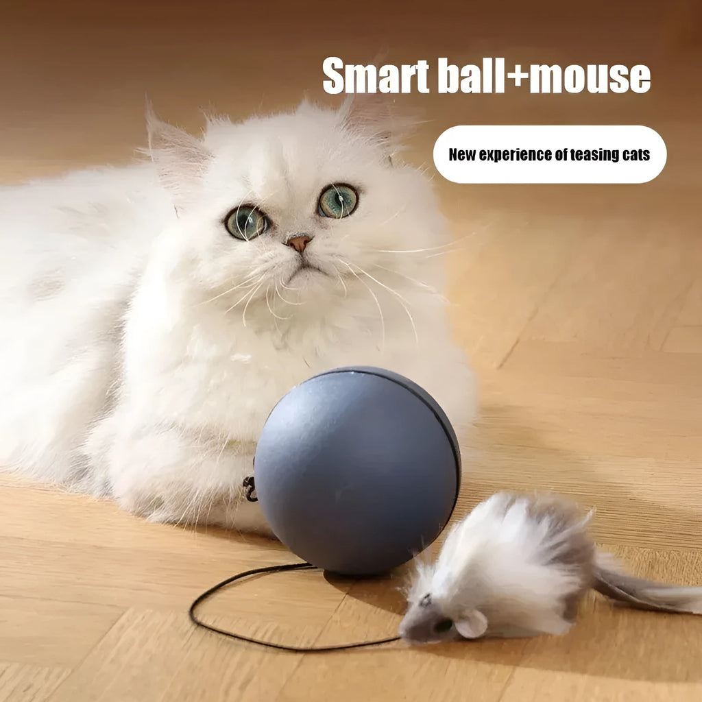 Automatic cat toy mouse teaser ball with plush mouse in blue orange and dark gray on floor