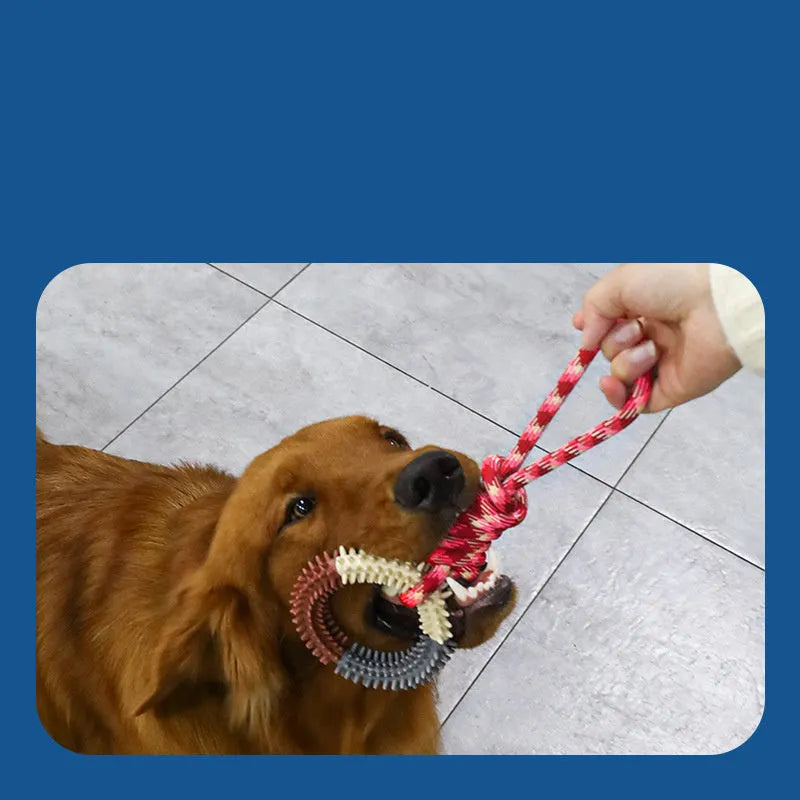 Blue braided rope dog toy with four puppy knots, measuring 43cm long