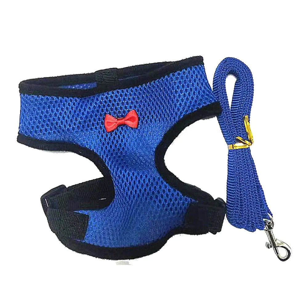 Adjustable poultry vest harness with matching collar and bow for ducks and chickens in multiple sizes and colours