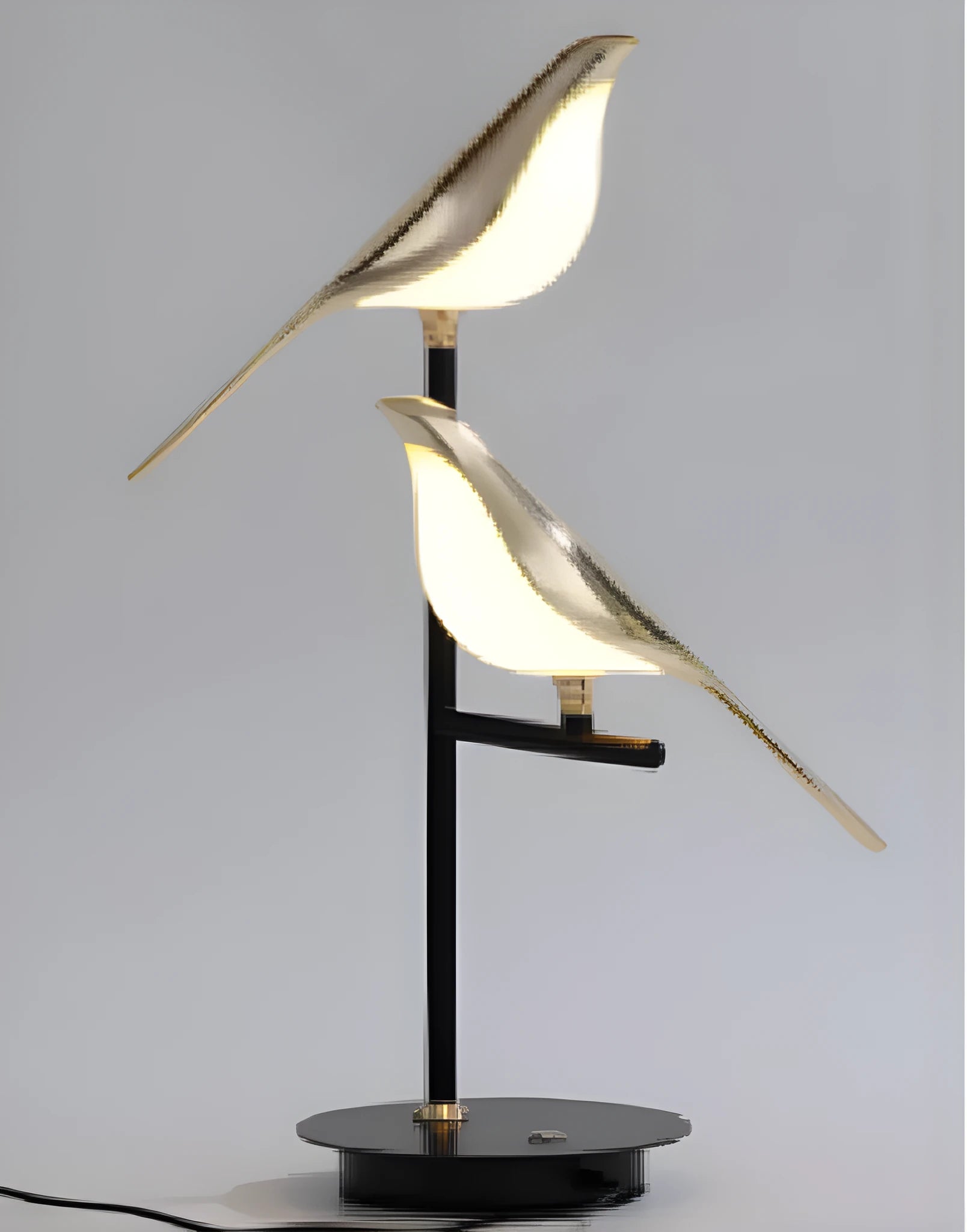 Modern simple aluminium alloy and iron hall ceiling lamp with adjustable suspension.