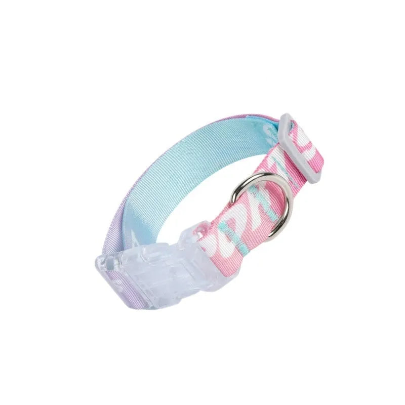 Adjustable nylon dog collar with cartoon gradient printing in gradient colour and panda green options