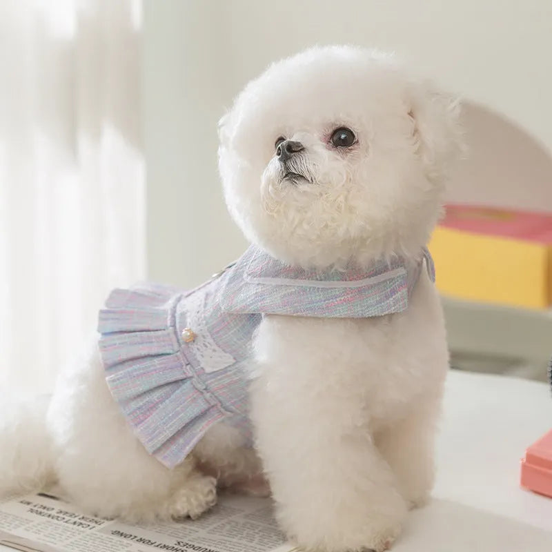 Purple and pink polyester pet clothing for small dogs and cats in S, M, L, XL sizes