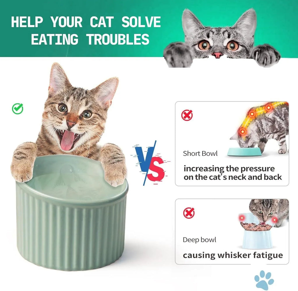 A dark green ceramic elevated cat bowl with a tilted, round rim on a wooden surface.