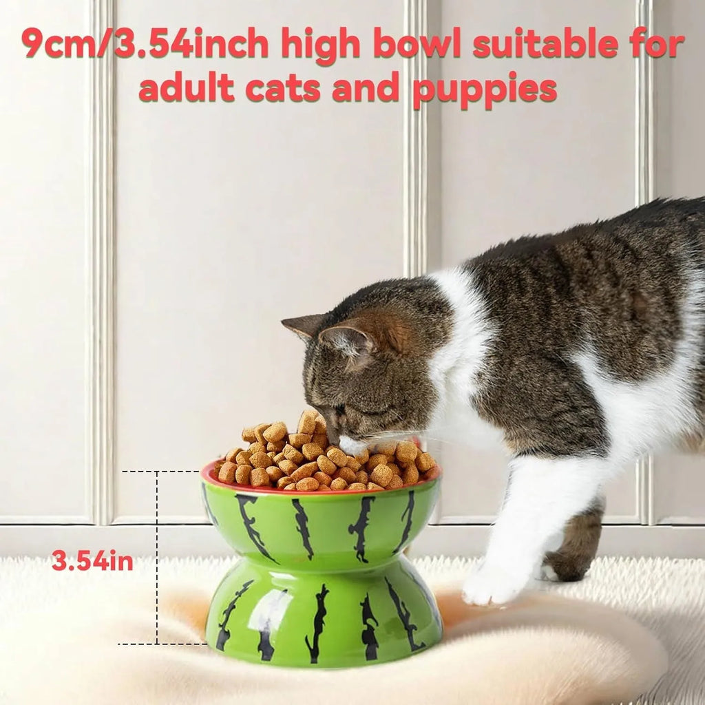 Ceramic raised cat bowl in orange colour with tilted design and patterned detail on a non-slip base