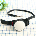 Automatic retractable dog leash extended to 3 metres with secure clip attachment