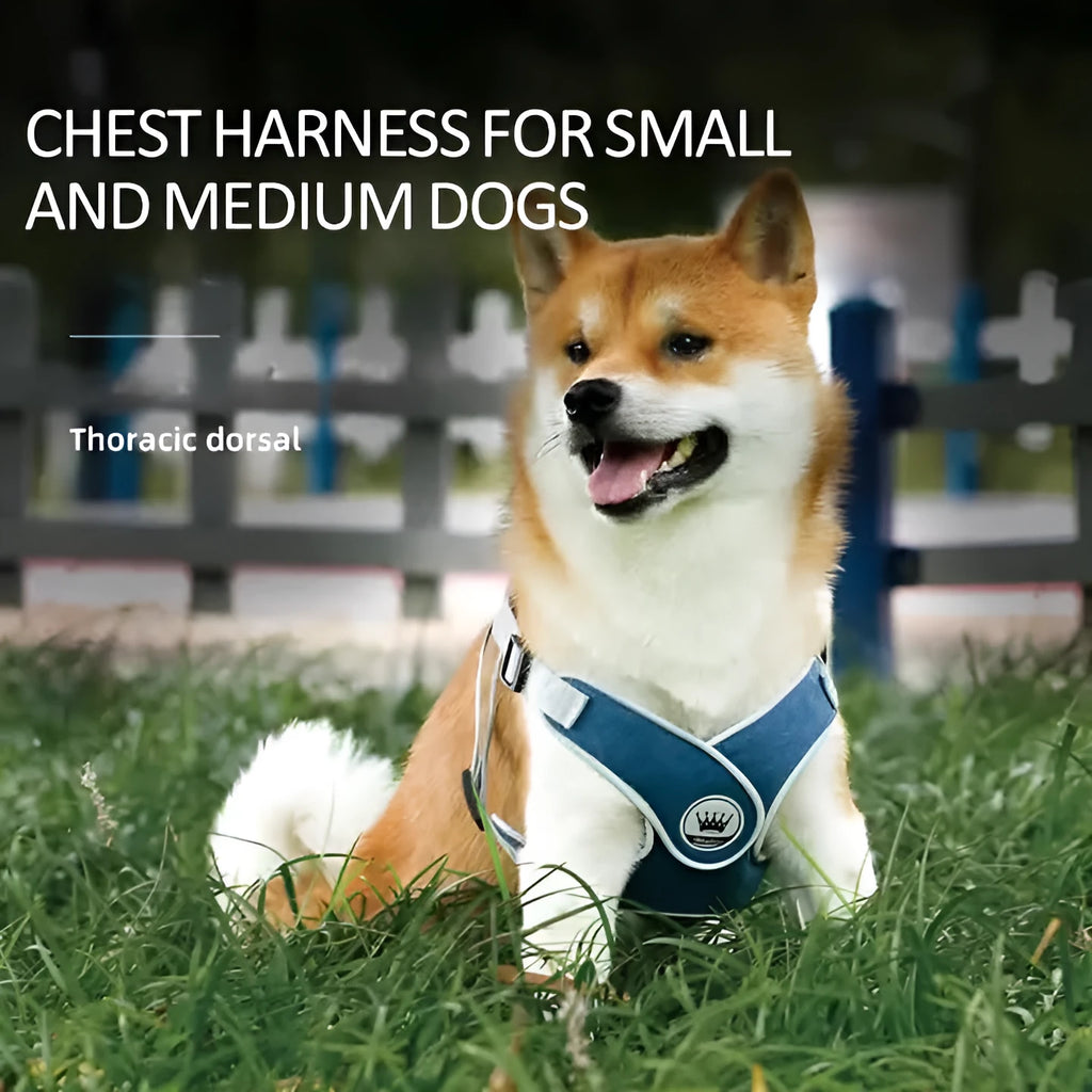 Adjustable dog harness vest with reflective mesh, back metal ring, available in multiple colours and sizes