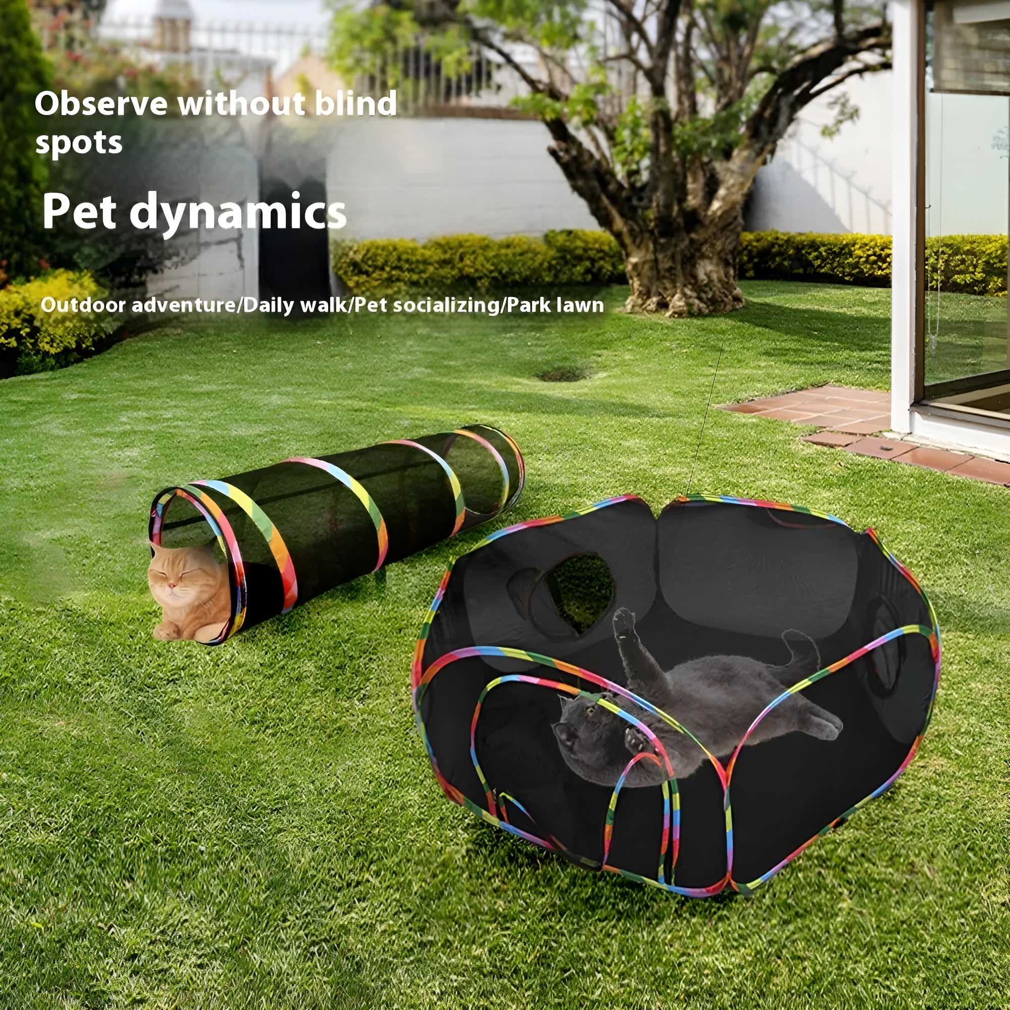 Foldable mesh cat roll cage pet toy showing multiple shape options including hexagonal and tent styles