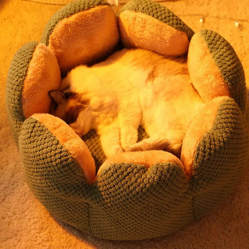 Green cactus petal shaped soft plush pet bed with cave-like opening and non-slip bottom, size L for pets up to 7.5kg