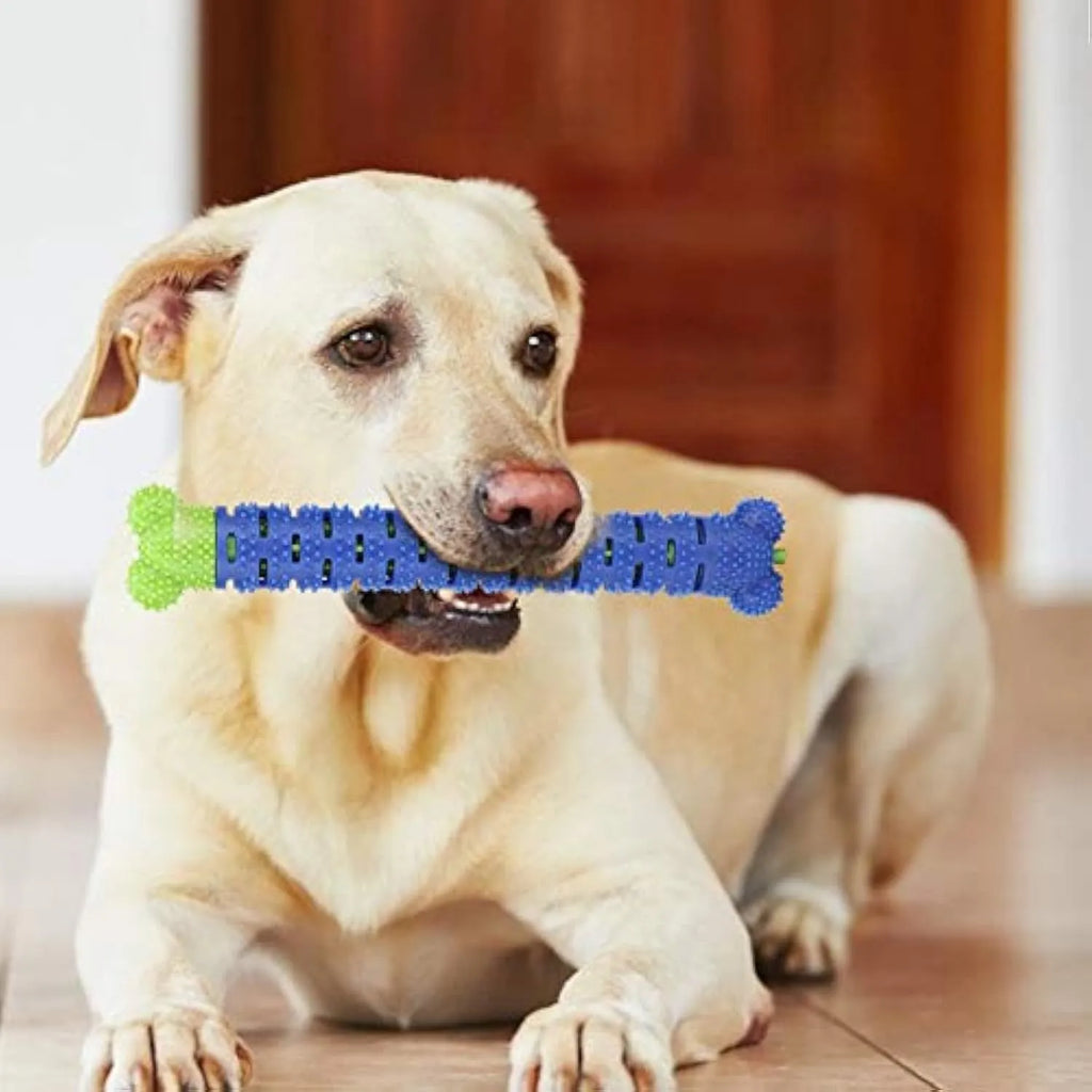 Blue-green dog molar tooth cleaner with serrated brush head design and silicone massage nodules