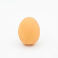 Simulation egg dog toy with sound in assorted colour, rounded plastic design for chewing and fetch play