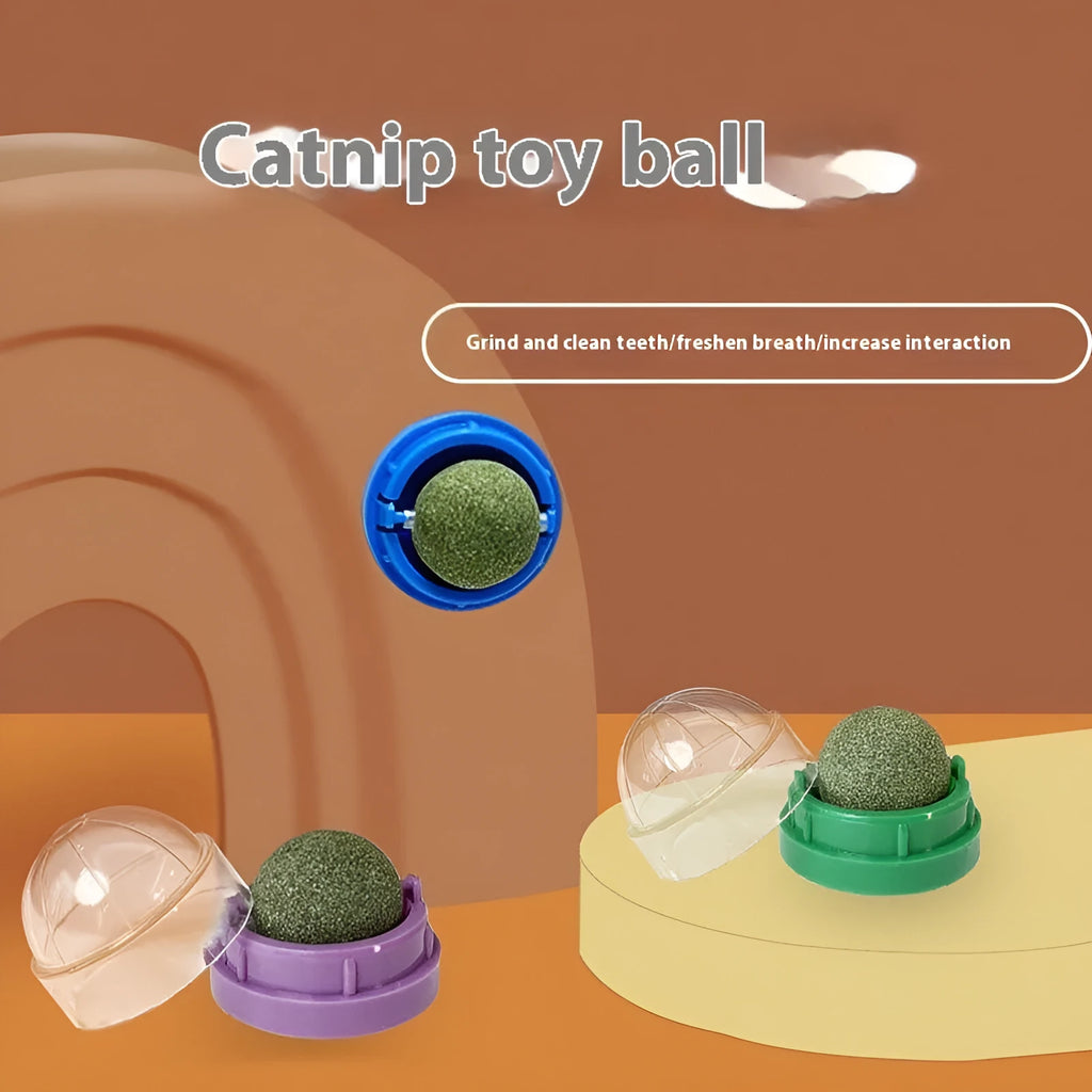Plastic catnip ball toy for cats in various colours including avocado mint and cheese mint