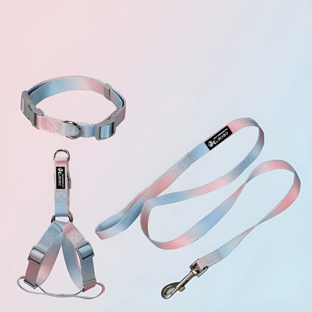 Gradient colour nylon dog leash shown in pink and yellow, configured as a chest strap harness.