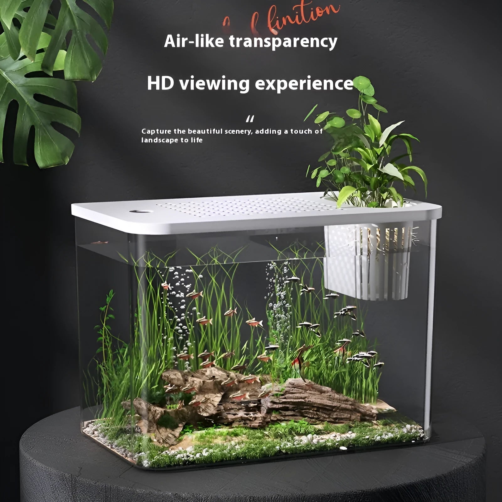Medium plastic betta fish tank with cover in living room setting showing black and white colour options