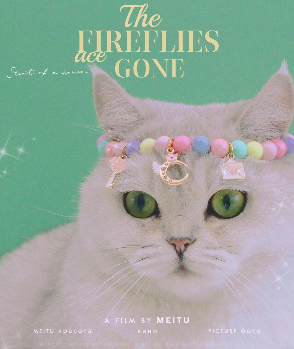 Colourful resin pearl pet collar necklace bracelet set in macaron colours with adjustable sizing