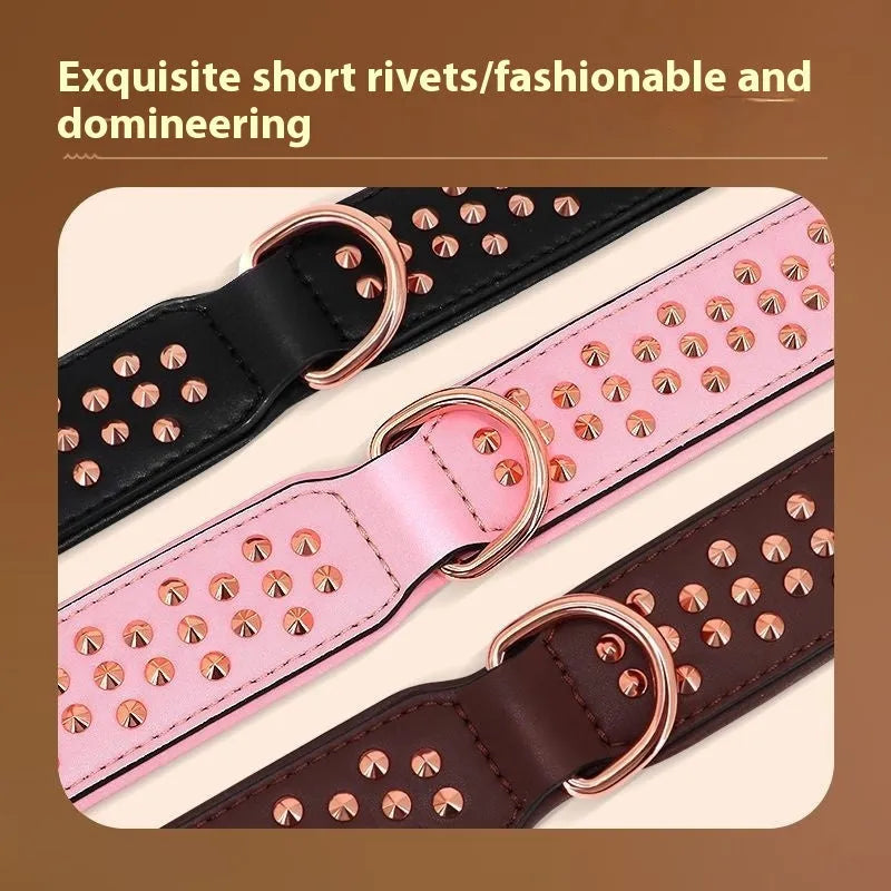 Brown leather dog collar with metal rivets and a silver buckle, shown on a black background.