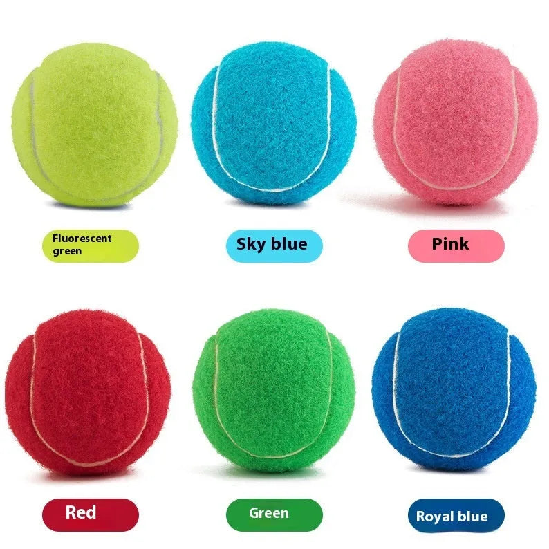 Bite-resistant rubber dog tennis ball in pink, blue, green, orange, and red colours, 6.3cm diameter