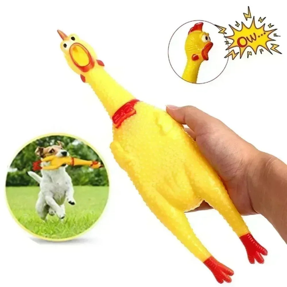 Yellow rubber screaming chicken dog squeak toy shown in three different sizes.