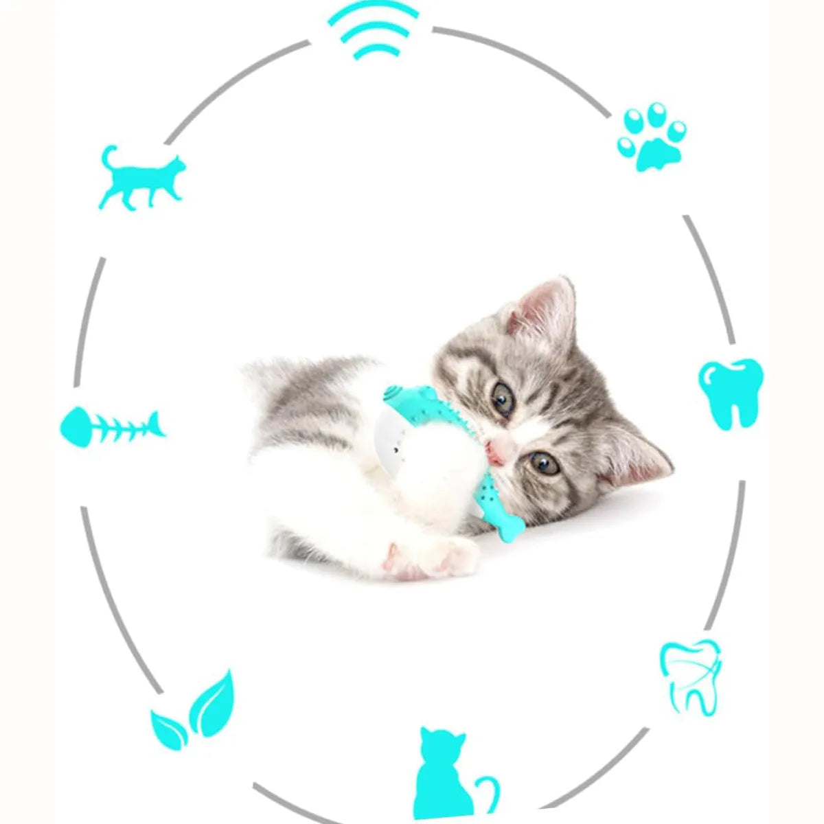 Silicone fish chew toy for cats with textured teeth cleaning surfaces and grabbing tail in four colour options