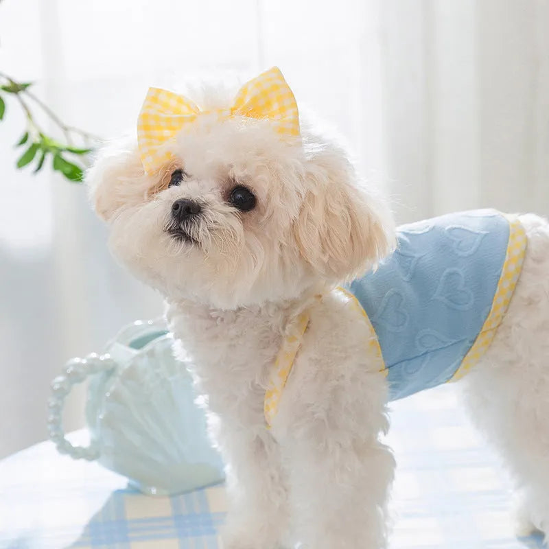 Small dog wearing elastic vest with bow suspenders and heart texture