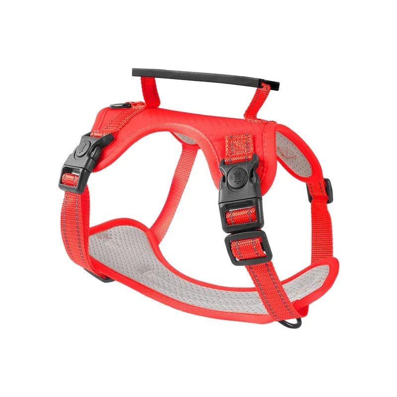 Polyester dog harness and lead set in multiple colours including black, red and blue