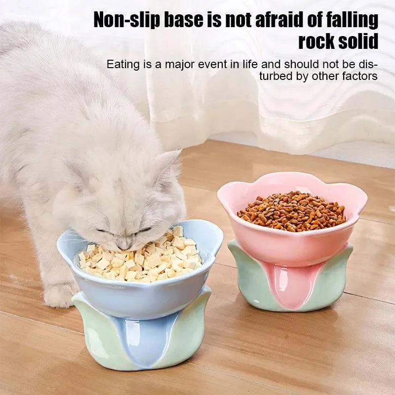 Blue floral ceramic raised pet feeding bowl with non-slip base for cats and small dogs