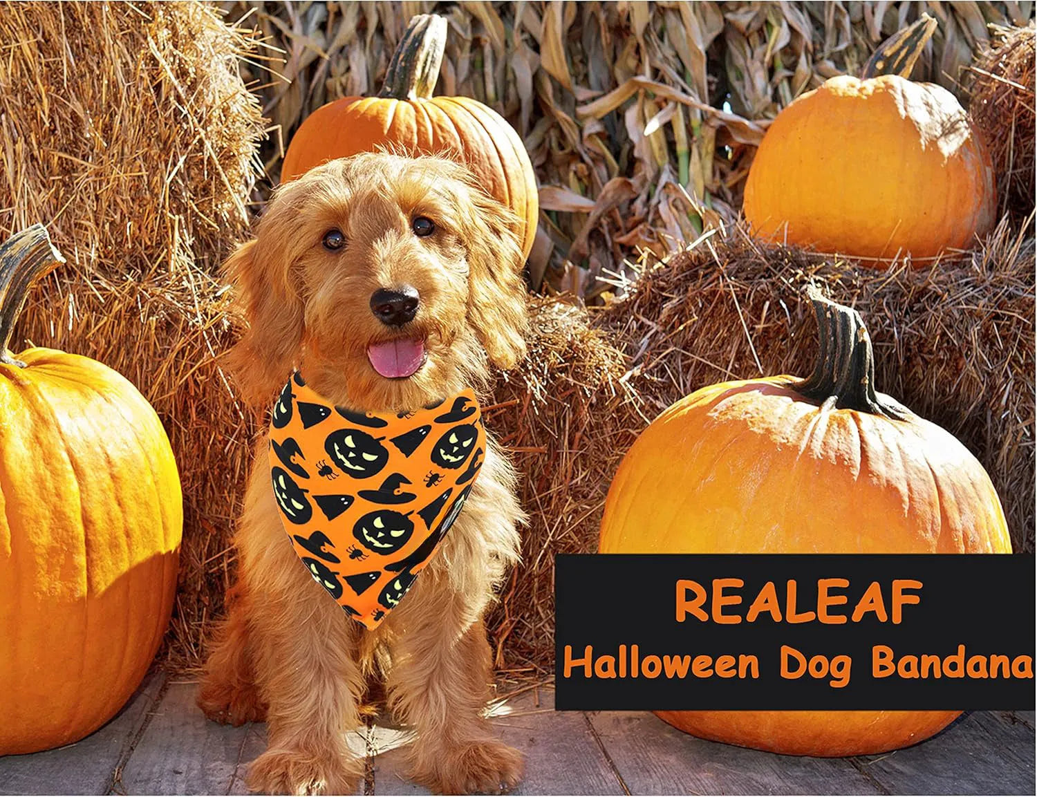 Reversible Halloween dog bandana with pumpkin and spider web patterns in black and orange, 65 x 45 x 45 cm