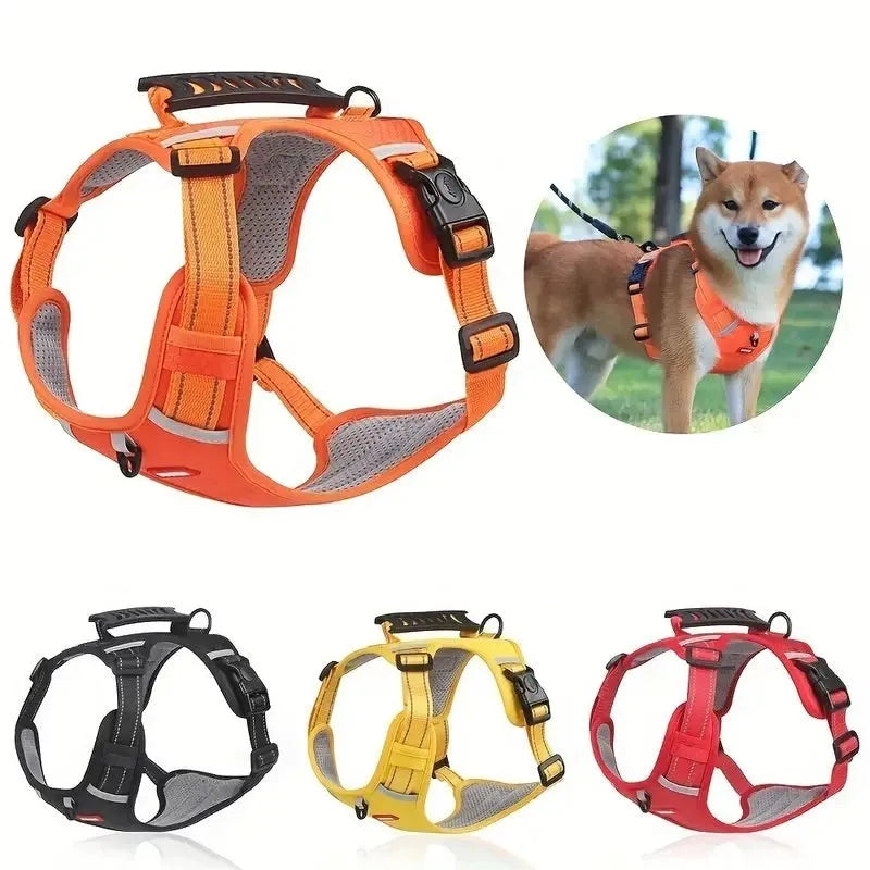 Polyester dog harness and lead set in multiple colours including black, red and blue
