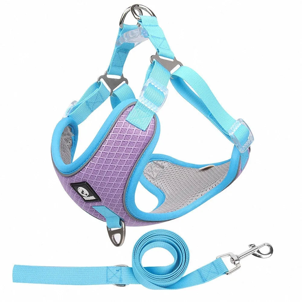 Adjustable mesh dog harness with reflective piping on a small dog, shown in light purple colour