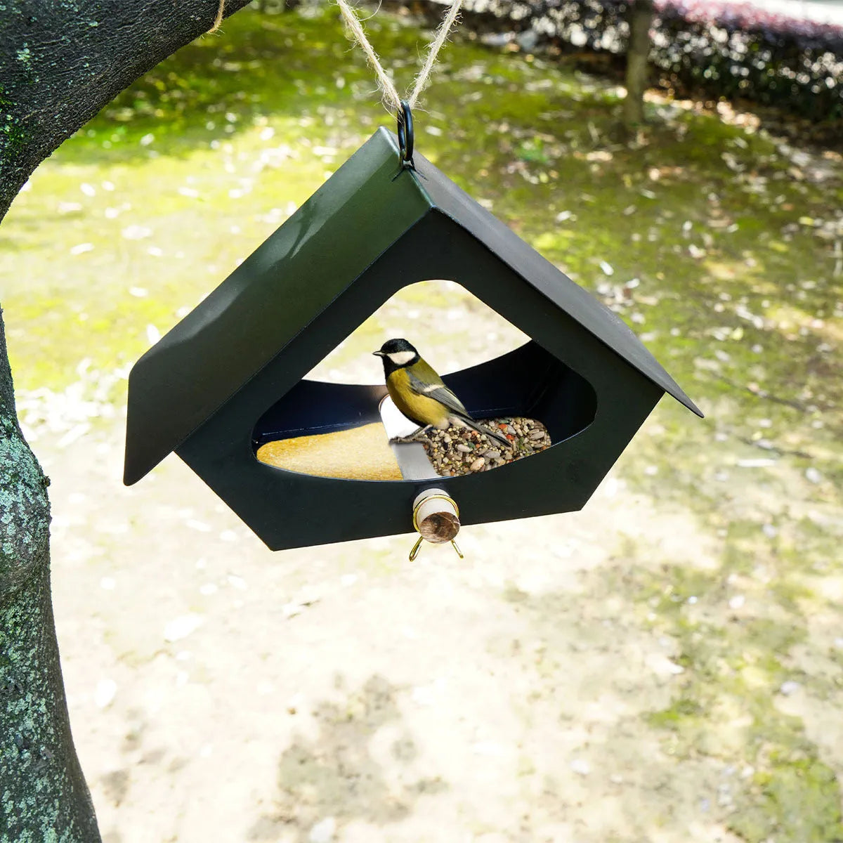 European-style iron bird nest with anti-rain design for outdoor courtyard decoration, in colour NL-01H or NL-01B