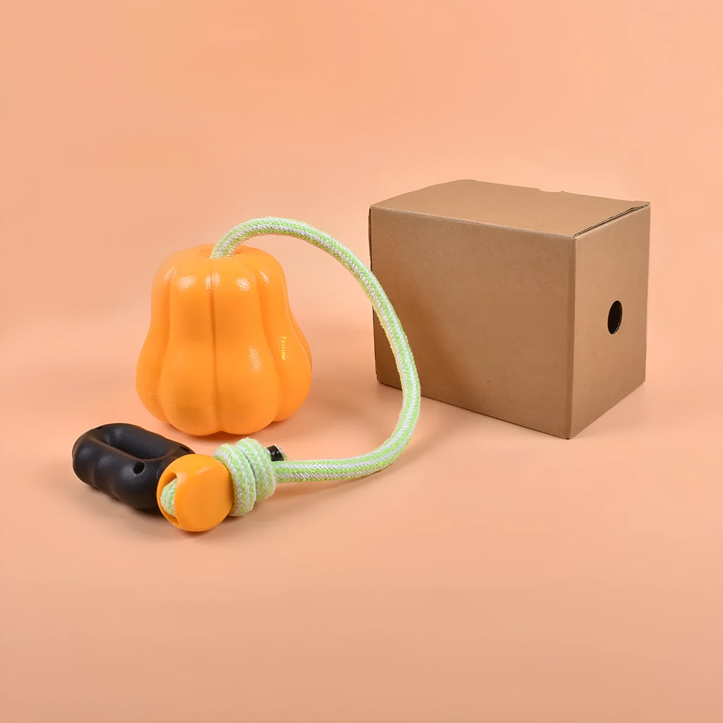 Pumpkin orange plastic dog chew toy with rope detail for outdoor fetch and molar cleaning