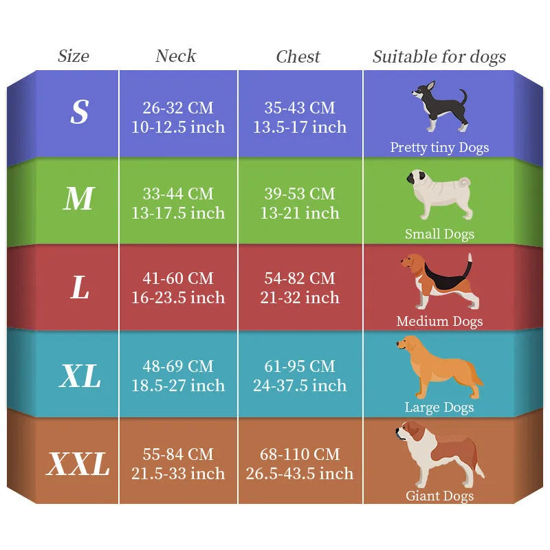 Luminous strap charging dog lead with seven-colour transformation, nylon construction, in size M