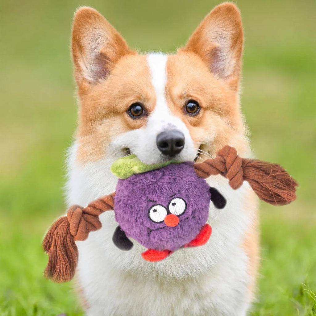 Green and purple interactive dog plush rope knot tug-of-war toy with molar teeth