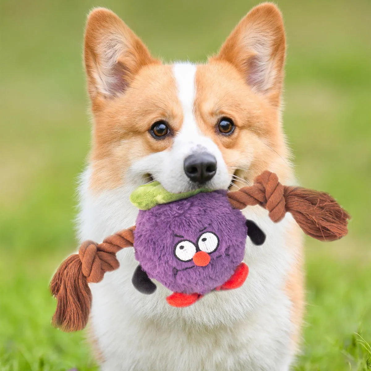 Green and purple interactive dog plush rope knot tug-of-war toy with molar teeth