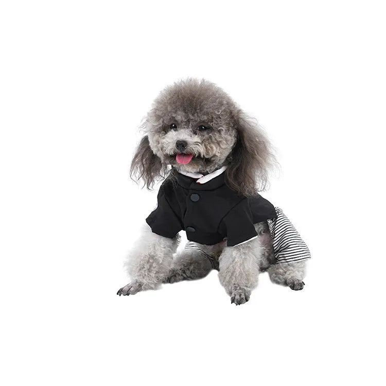 Thin cotton poodle dog clothes in four-legged pants or skirt styles for spring and autumn seasons