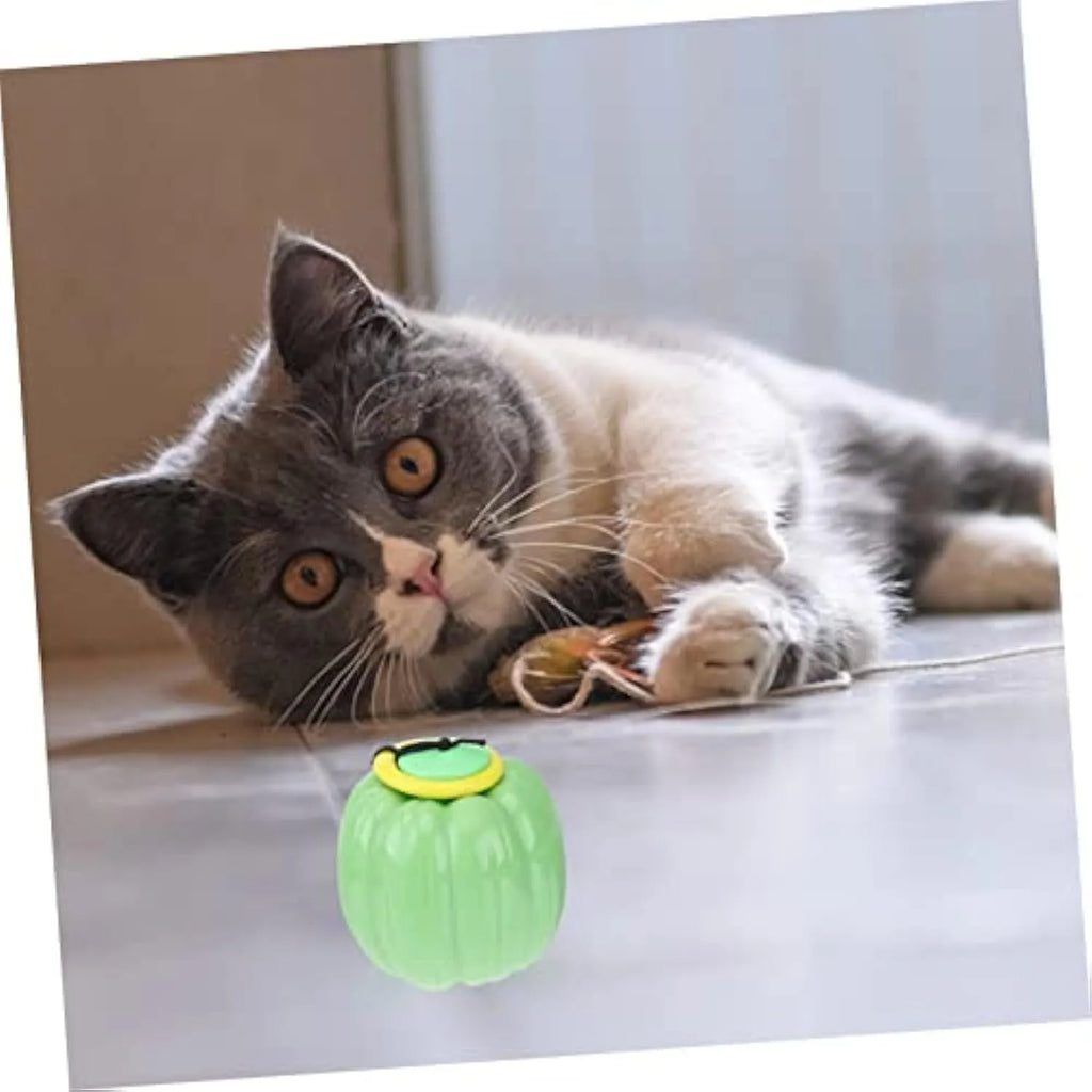 Green plastic squeaky pumpkin dog chew ball toy for small dogs measuring 68mm