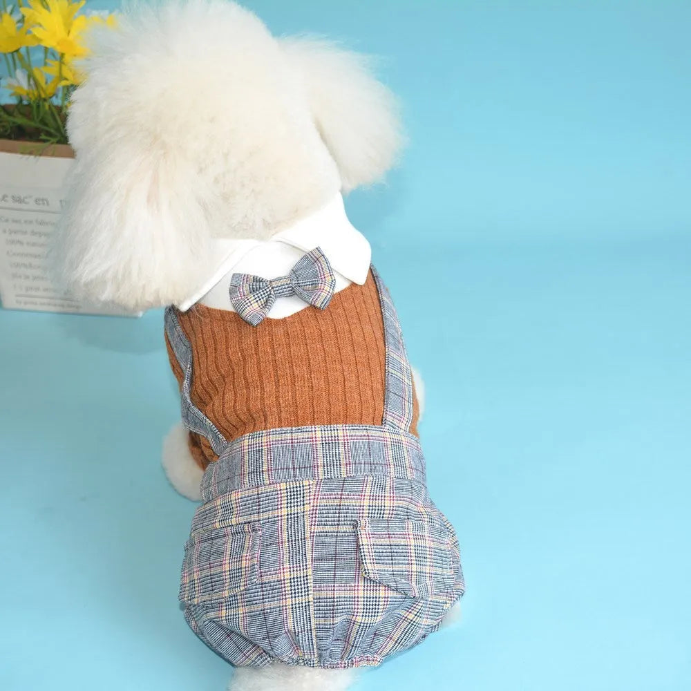 Orange and dark blue cotton dog shirt for small pets in sizes S to 2XL