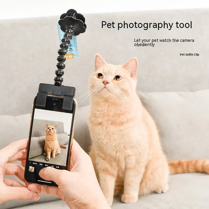 Pet photography tool with snack clip, 360-degree rotation, black plastic phone holder